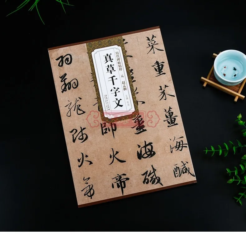

Chinese Calligraphy Copybook Of Stone Inscription Rubbing Brush Writing Book 51pages 28.5*21cm