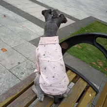 Домашние инструменты, обязательные предметы, новая модная дышащая рубашка с милым принтом для питомцев, весна и лето, для лучшей жизни