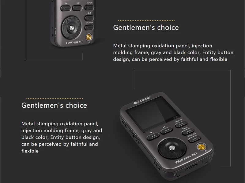 Fem Forventning røgelse LOTOO PAW 5000 MKII portable Hi-Fi music player AKM Premium Series — HiFiGo