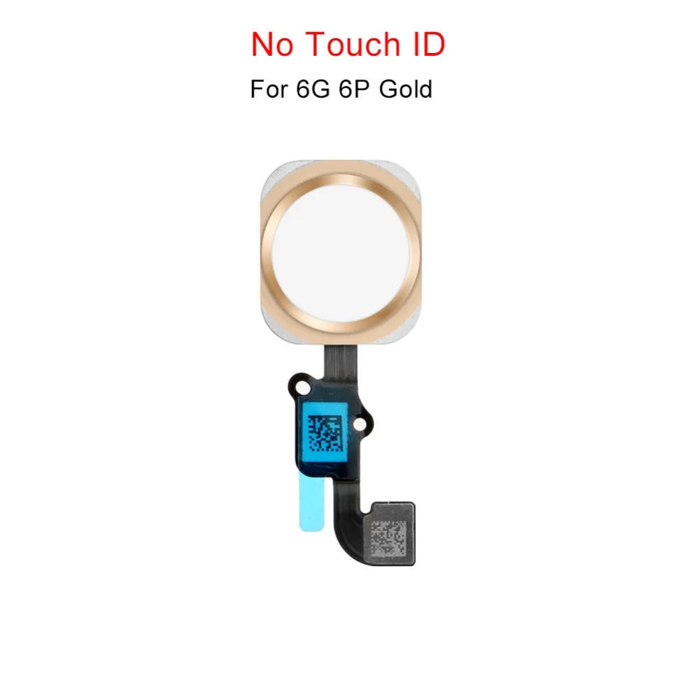 home button (1)