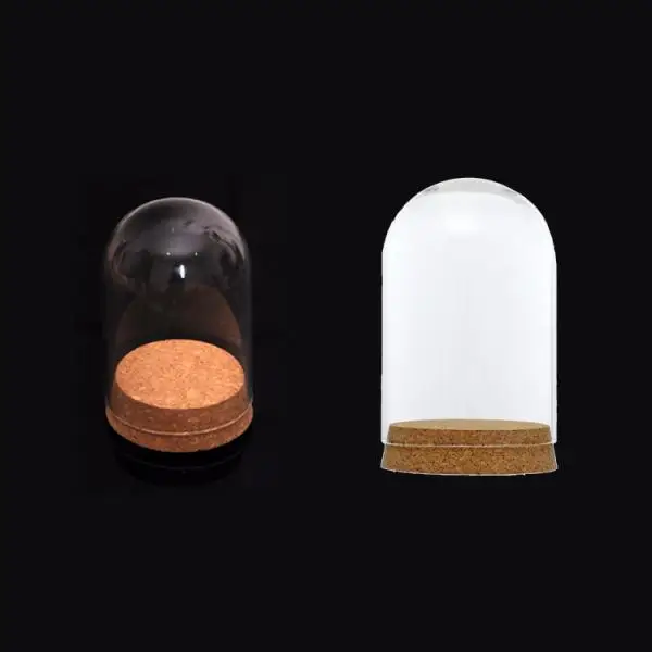 Clear Glass Dome Cover Cloche Bell Jar Succulent Terrariums with Wood Cork for Office Table Decor DIY Supplies - 8x12/ 6.5x10cm 