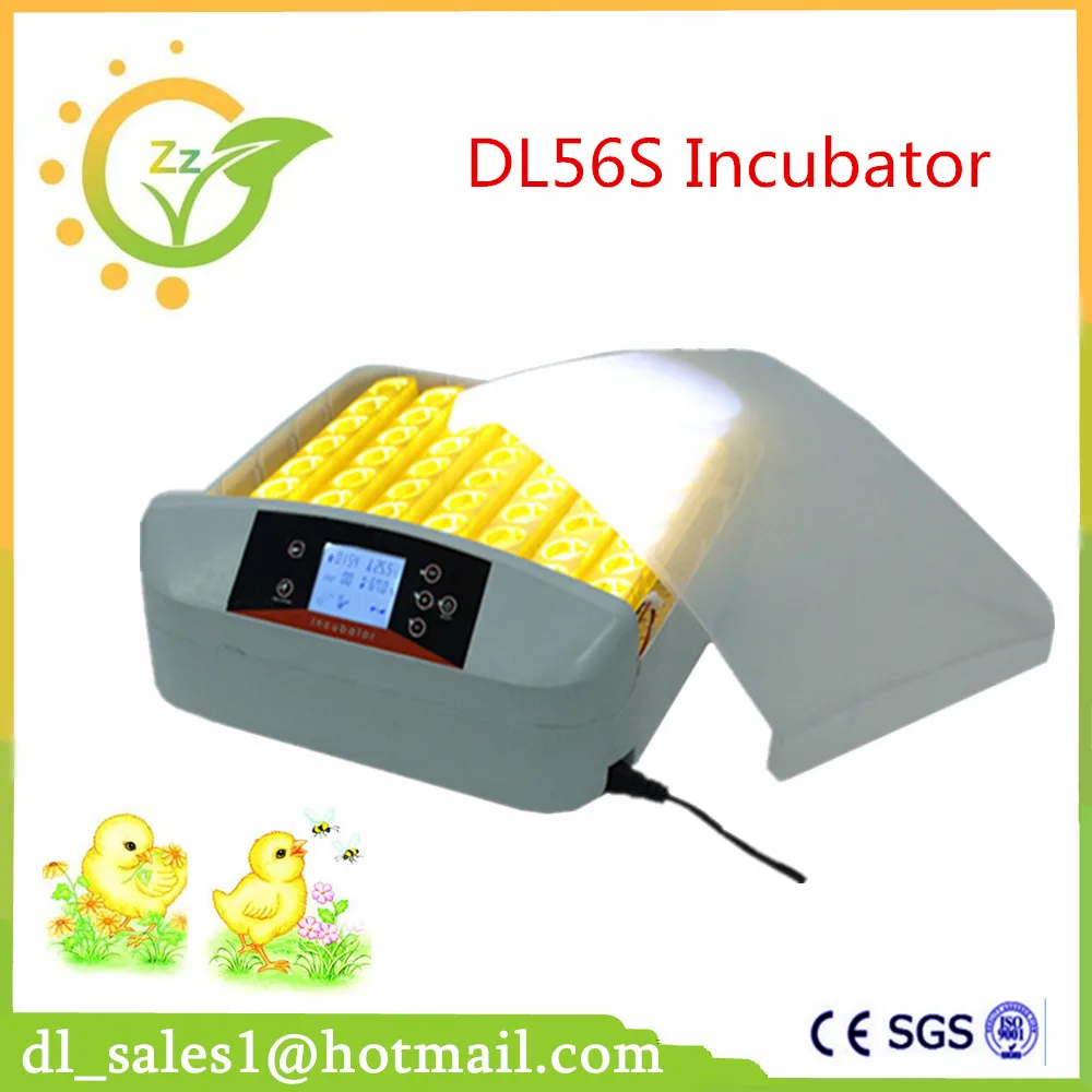 

Mini 56 Chicken Egg Incubators Sale Motor Control Tray Automatic Egg Turning For Duck Quail