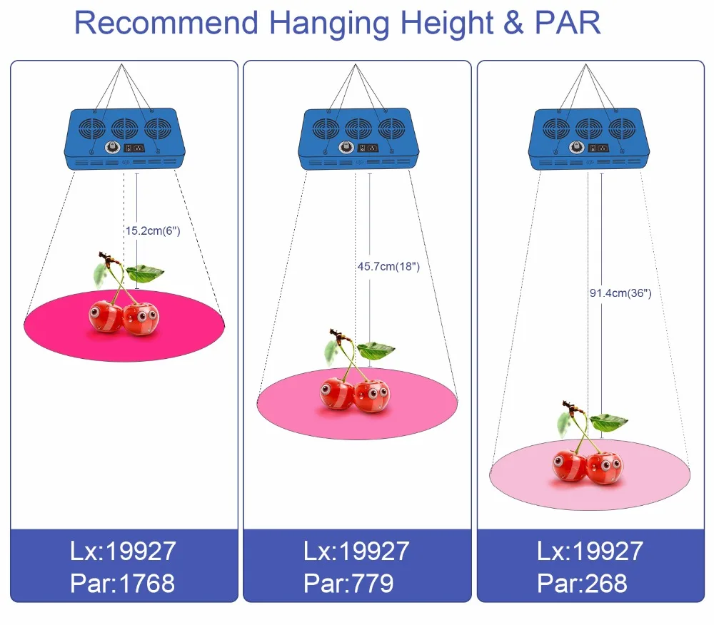 5.PAR