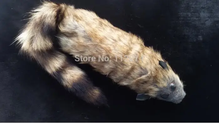 

The Rocky Raccoon,Robbie - Magic Tricks,Props,Comedy,Mentalism,Gimmick,Close Up,Party Trick,Magic Toys,Kids Magia Show