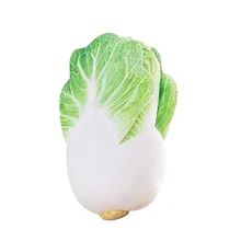 Cute Vegetable Plush Pillow Wool Cloth Cabbage Doll Cushion PP Cotton Lining Kids font b Toy