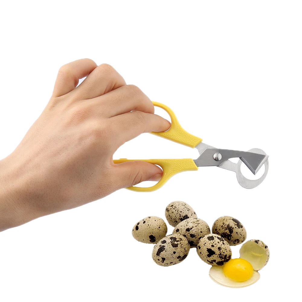 Buy Colorful Stainless Steel Quail Egg Shells Scissors