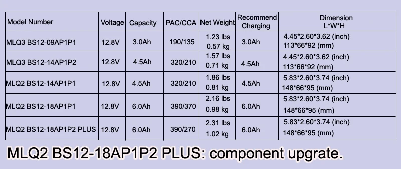 PLUS-6