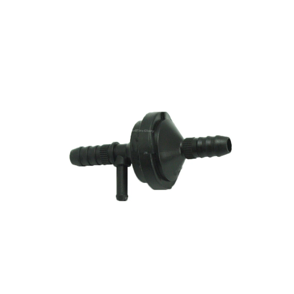 IMGP9004 2_