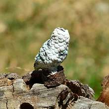 Смола Имитация мини Совы миниатюрный открытый декор для дворика горшки для растений бонсай ручная работа для дома Фея Сад Микро Ландшафтный