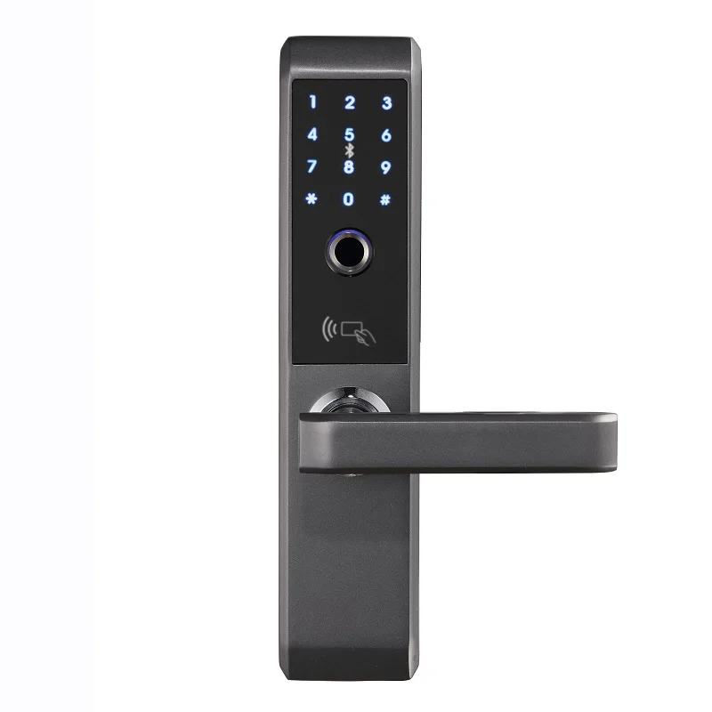 LACHCO биометрический электронный дверной замок, умный отпечаток пальца, код, карта, ключ, сенсорный экран, цифровой замок с паролем для дома L18008S - Цвет: Semiconductor black