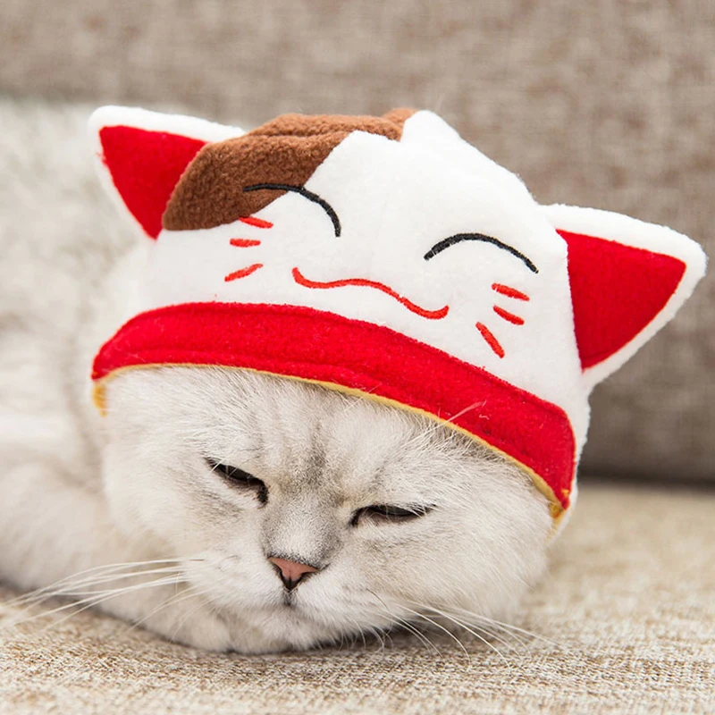 Милая кошка Кепки шляпа забавный щенок костюм для кошки, собаки Шапки для кошки собаки продукты принадлежности для питомцев для Аксессуары для кошек kedi Malzemeleri