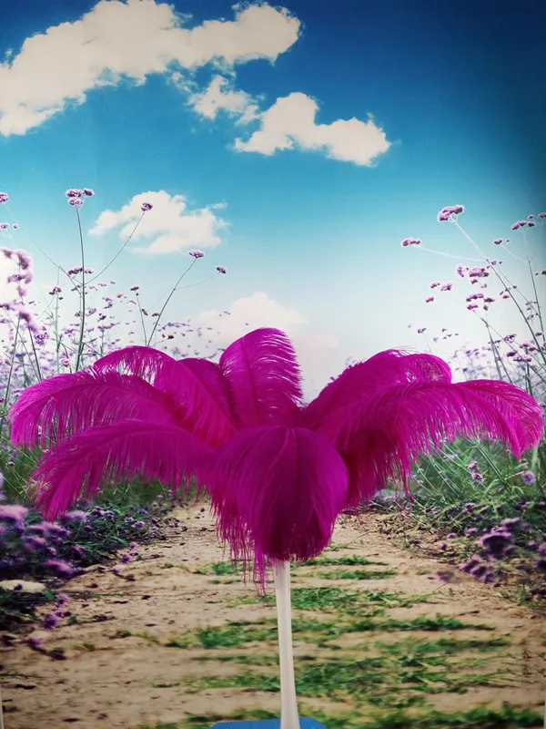 10 шт. высокое качество Природный страусиных перьев 10-12 дюймов/25-30 см свадебные украшения для выступления Костюмы аксессуары - Цвет: rose