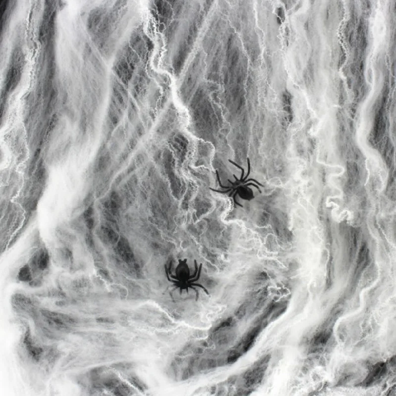 spider web decoration