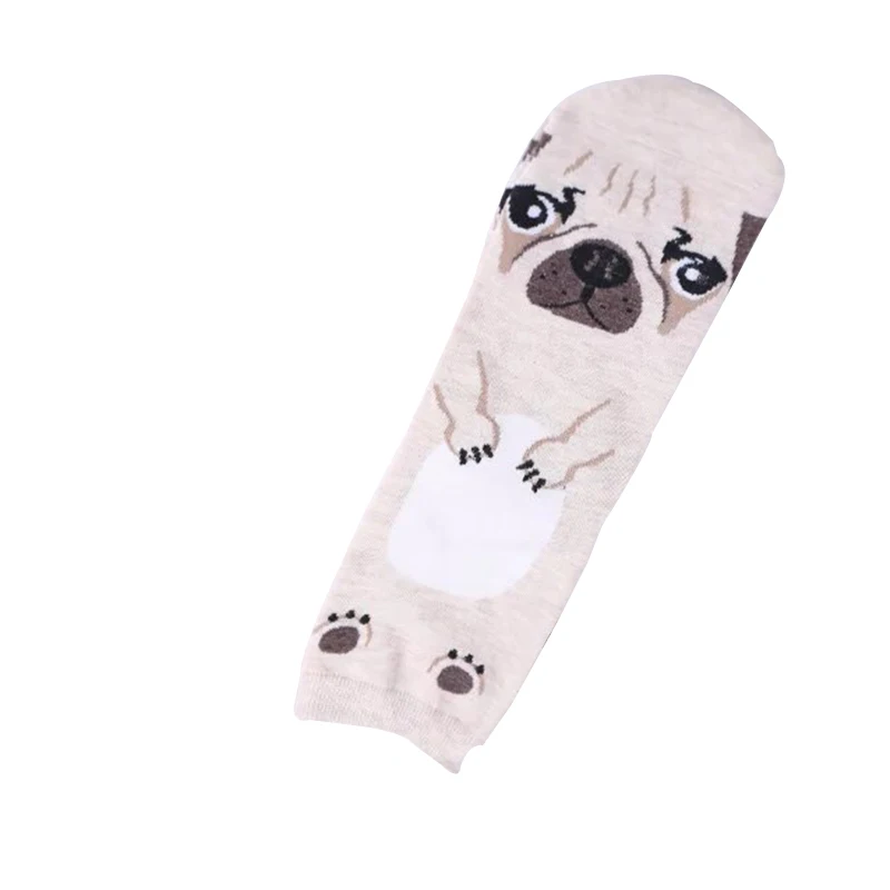 4523300538_297019652