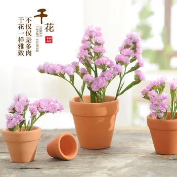 

2019 Real Flowerpot Flower Pots Hot Sale!red Pot International Basin Four Size A Mini Plants.ceramic Flower Pot.terra-cotta.