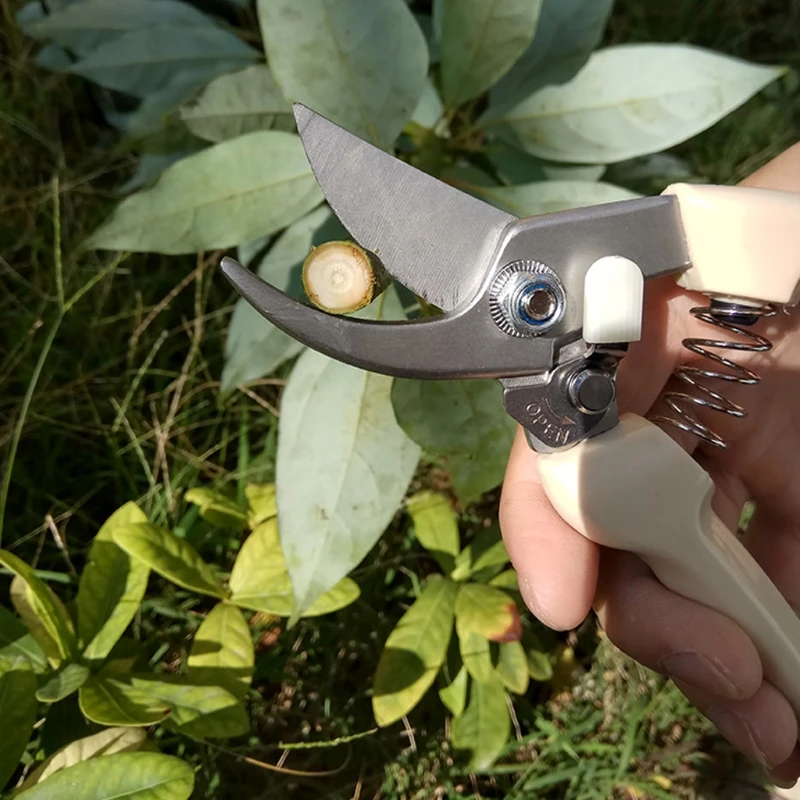 Инструмент для прививки Подрезка растений в садоводстве ножницы из нержавеющей стали режущие инструменты