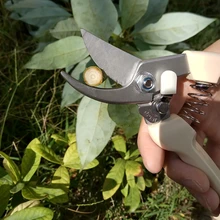 Grafting Tool Gardening Pruning Shear scissor Stainless steel cutting tools