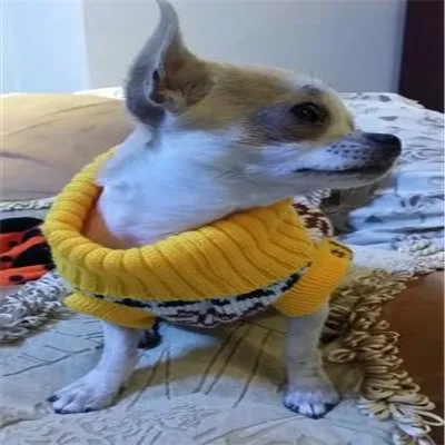 6050