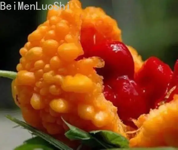 

Plantas Naturales Bonsai Small Laigua Fruit Plant Backyard Climbing Vine Winding Plant Flowers 6PCS