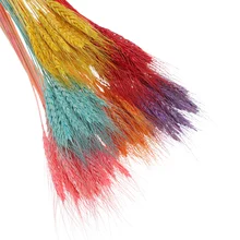 25 шт. настоящий пшеничный цветок уха натуральные сухие цветы для свадебной вечеринки украшения для самодельного изготовления скрапбукинга домашний декор пшеничный букет