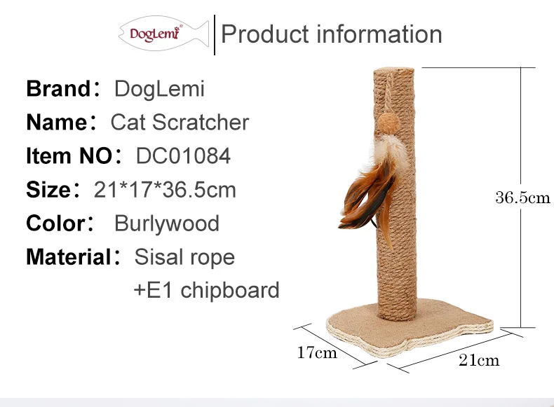 DC01084-_07