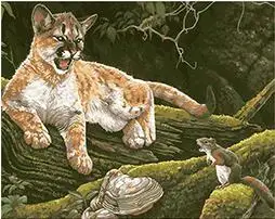 Тигр маслом. Снежный барс ирбис грозный оскал. Художественные про животных. Леопард снежный барс ягуар. Тигр рисунок.