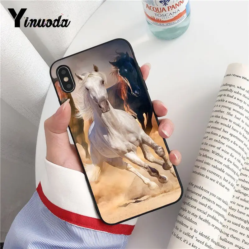 Animal Horse