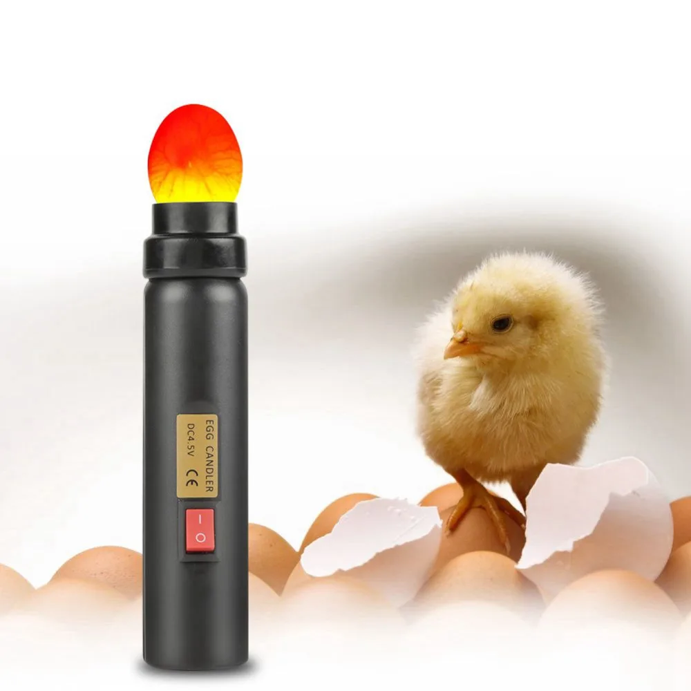 Светодиодный светильник тестер для яиц Мини-светильник ing лампа для курицы перепела птицы инкубатор Брудер тестер качества инструмент