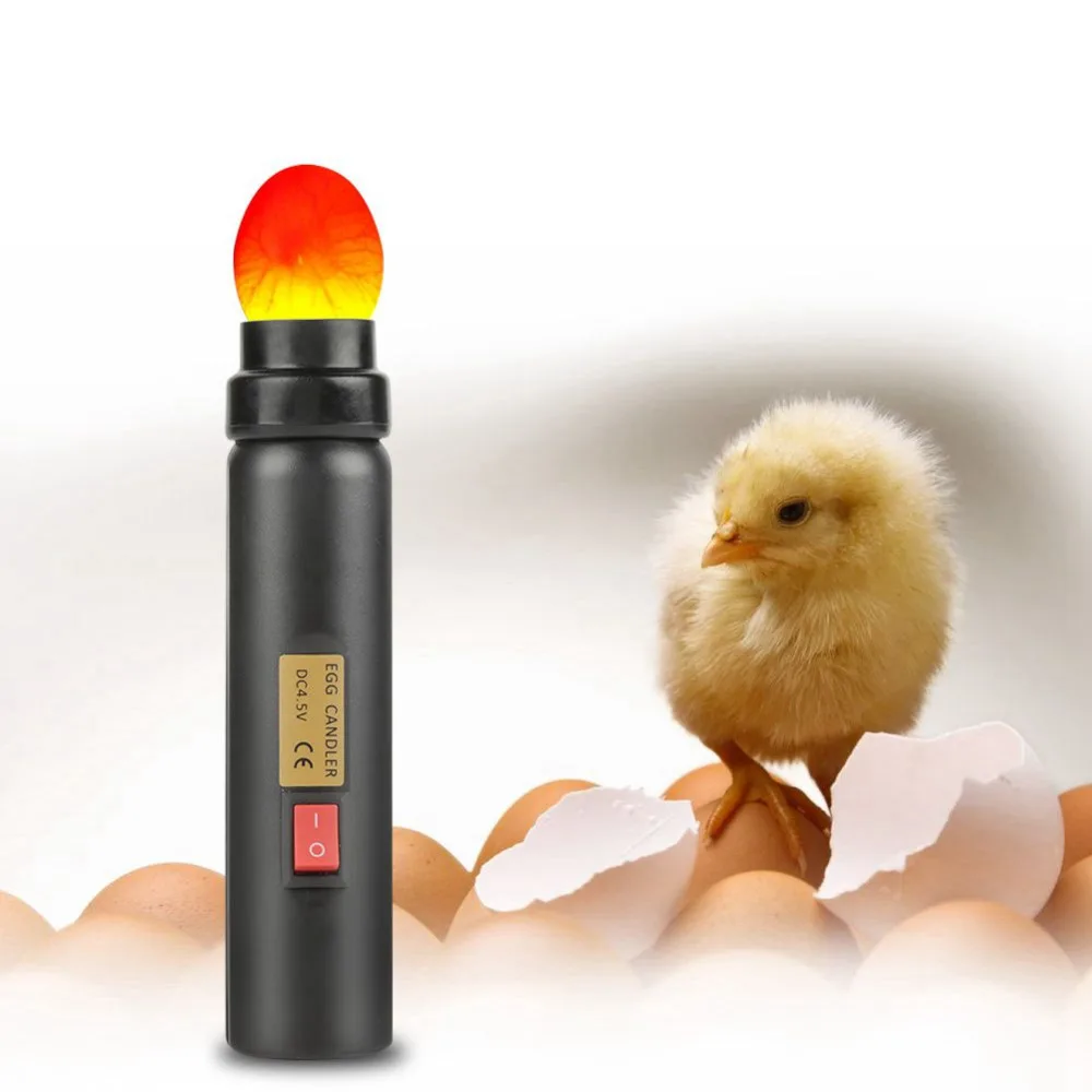 LED Light Egg Candler Tester Mini Lighting Lamp For Chicken Incubator Poultry