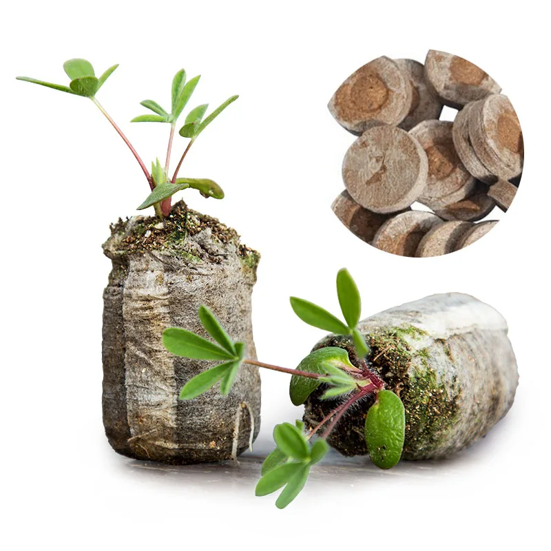 

3pcs Peat Pellets Seed Starting Plugs Seeds Starter Pallet Seedling Soil Block Professional 3*1CM