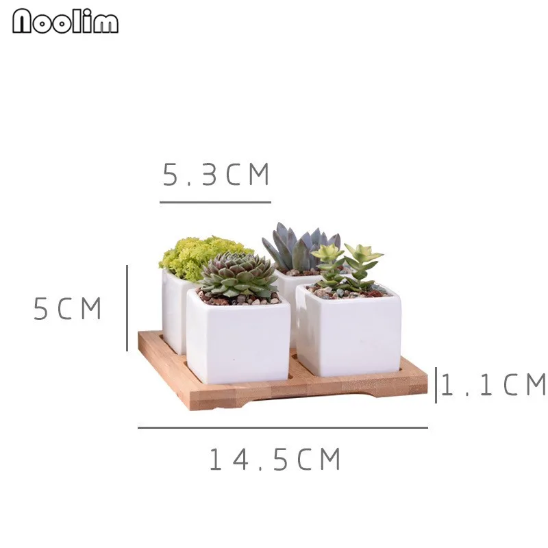 1 (5)