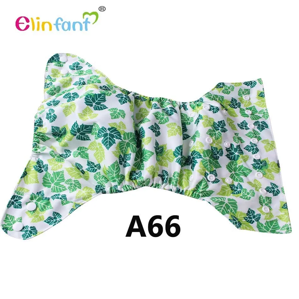 A66