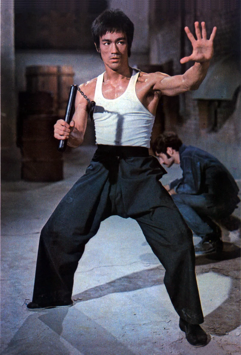 Китайский кунг фу Единоборства крыльев Чун пены Nunchakus Selfdefence Artes Marciais оружие ушу