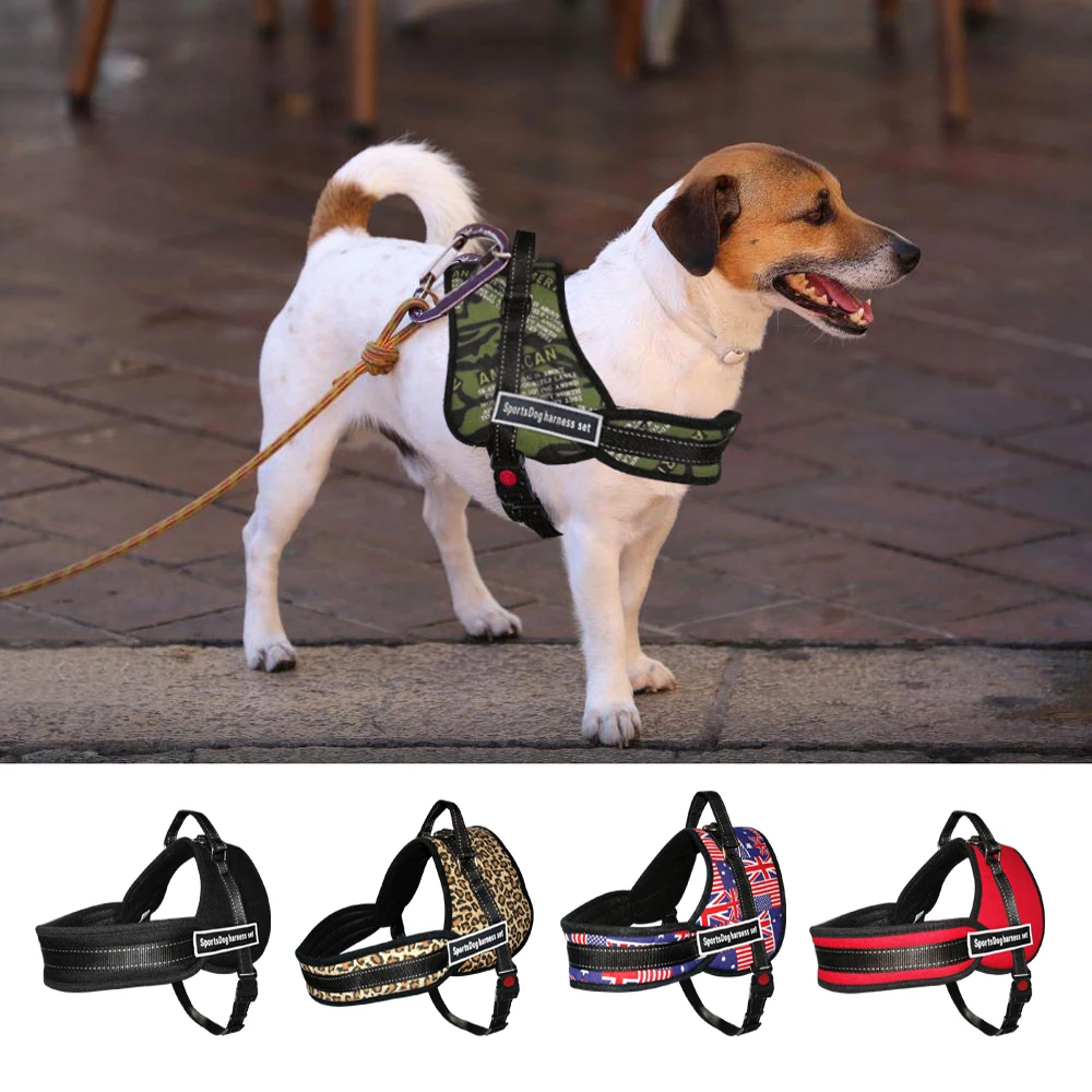 High Fashion Dog Harness High Fashion Dog Harness