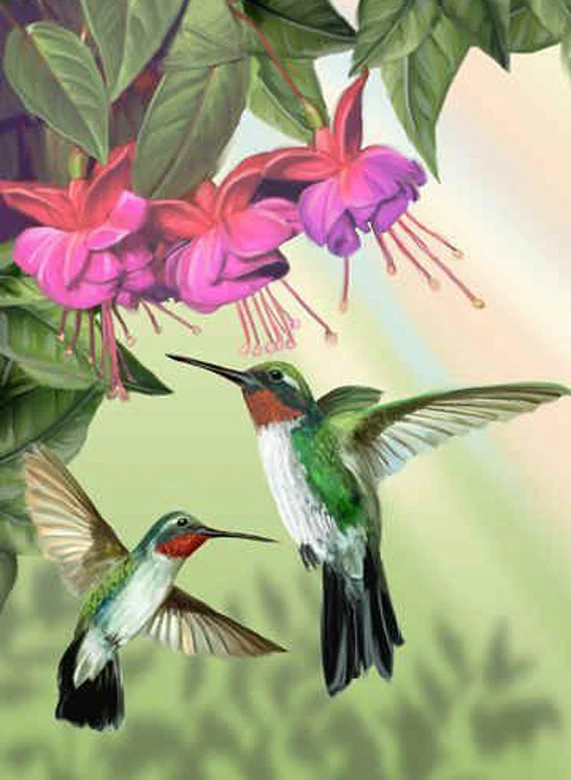 HTB1SYhFedcnBKNjSZR0q6AFqFXa8