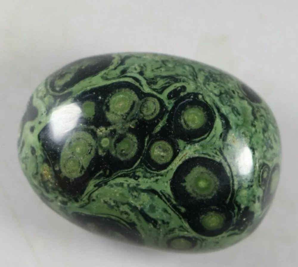 

107g EYE GREEN KAMBABA JASPER STROMATOLITE FOSSIL Gem Stone Healing