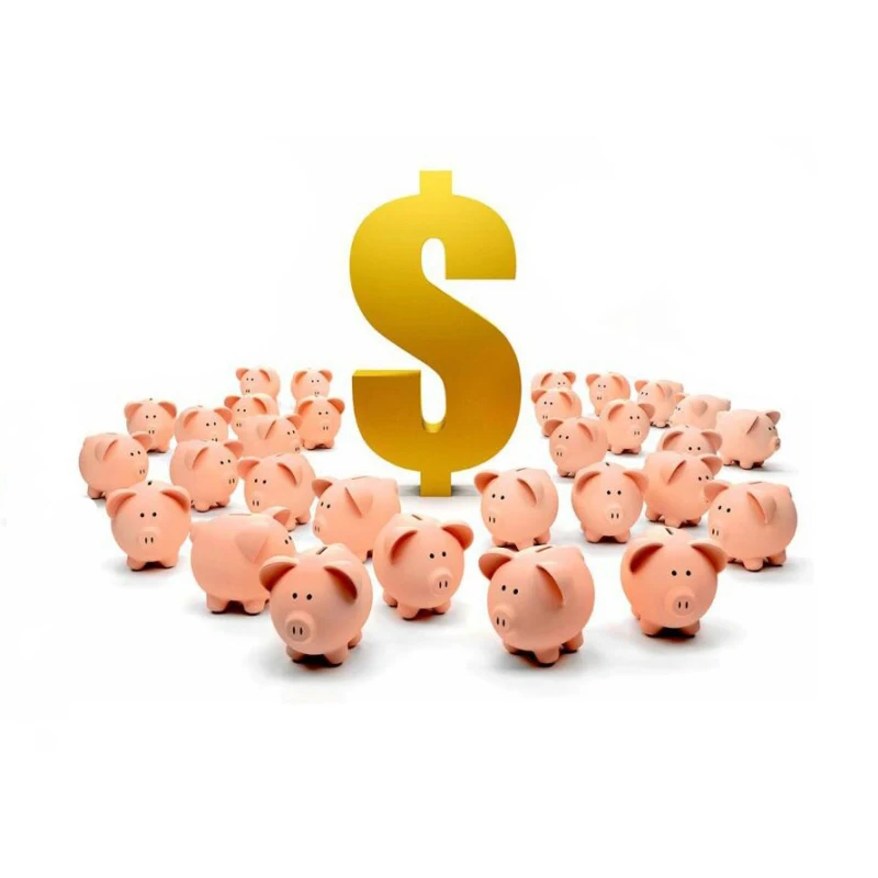 

Extra Fee Extra Cost for The Balance of Your Order