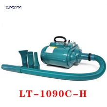 LT-1090C-H фен для домашних животных, мощный двойной мотор, низкая скорость, четыре передачи, 3300 Вт, фен для собак, 110 В/220 В, скорость ветра 80 м/с