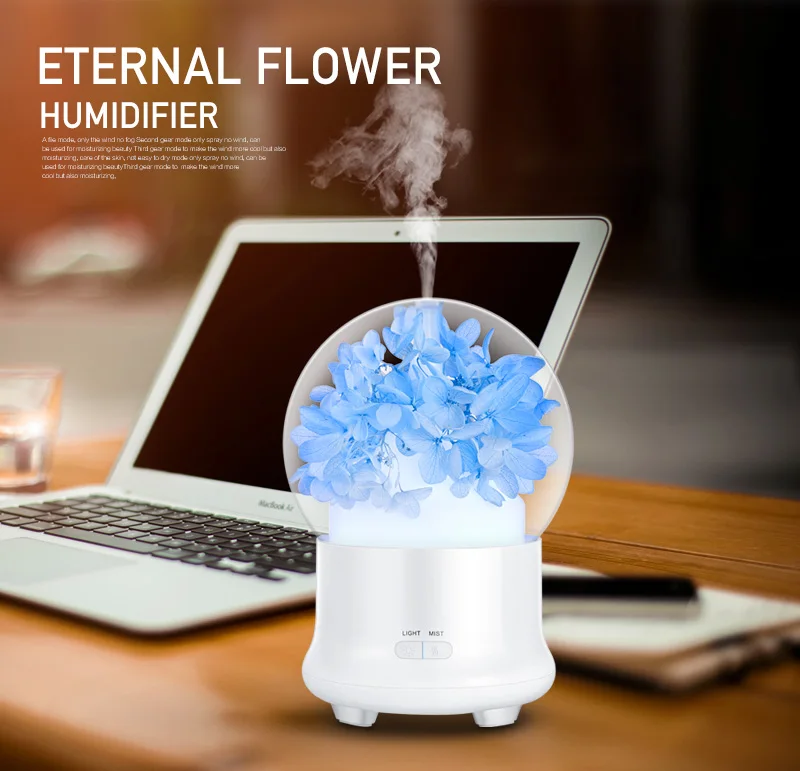 aromatherapy Humidifier