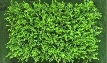 

SPR New Arrival Green Grass Plastic Artificial Fish Tank Ornament Plant Aquarium Lawn Decoration-40*60cm