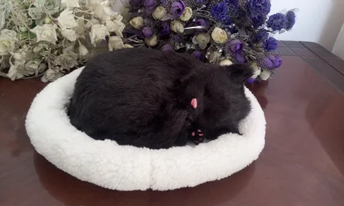 simulation breathing cat model black sleeping cat with mat model decoration gift about 26cm