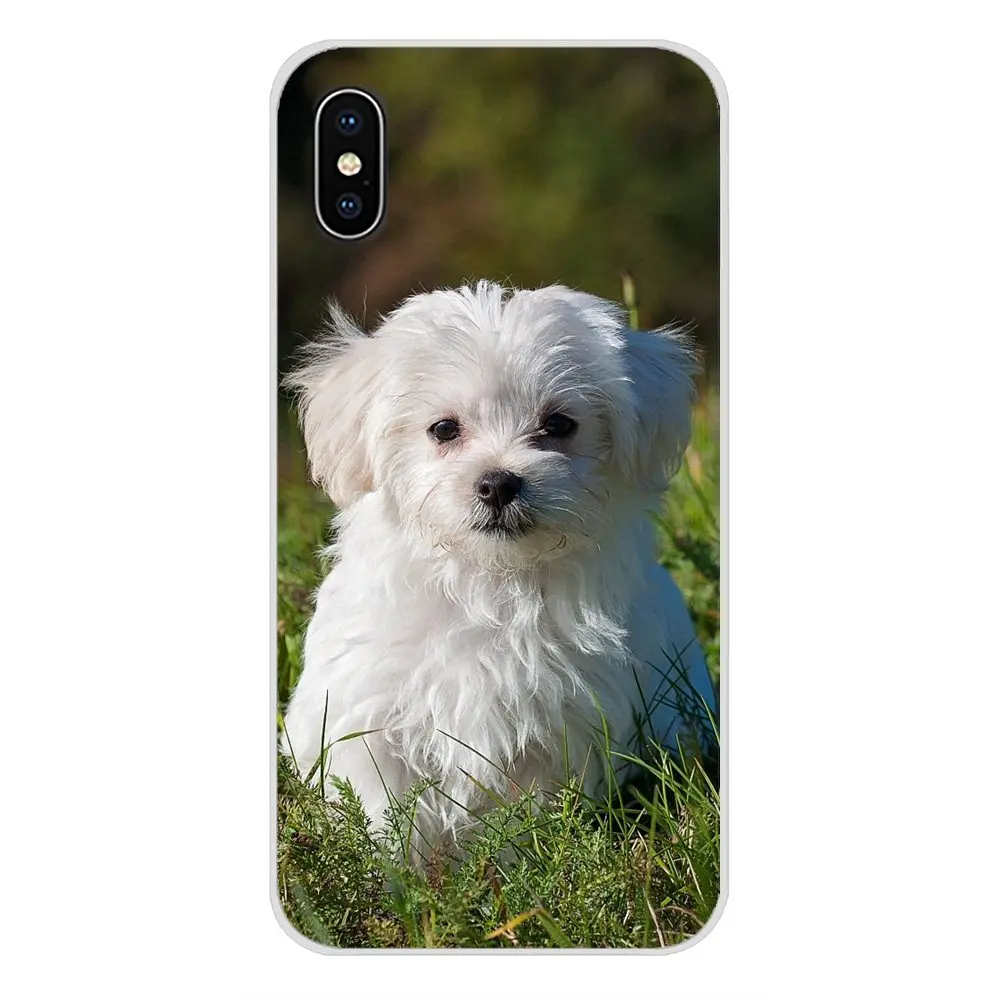 Чехол для мобильного телефона I Love My Maltese dog puppies Nokia 2 3 5 6 8 9 230 3310 1 7 Plus LG Q6 X