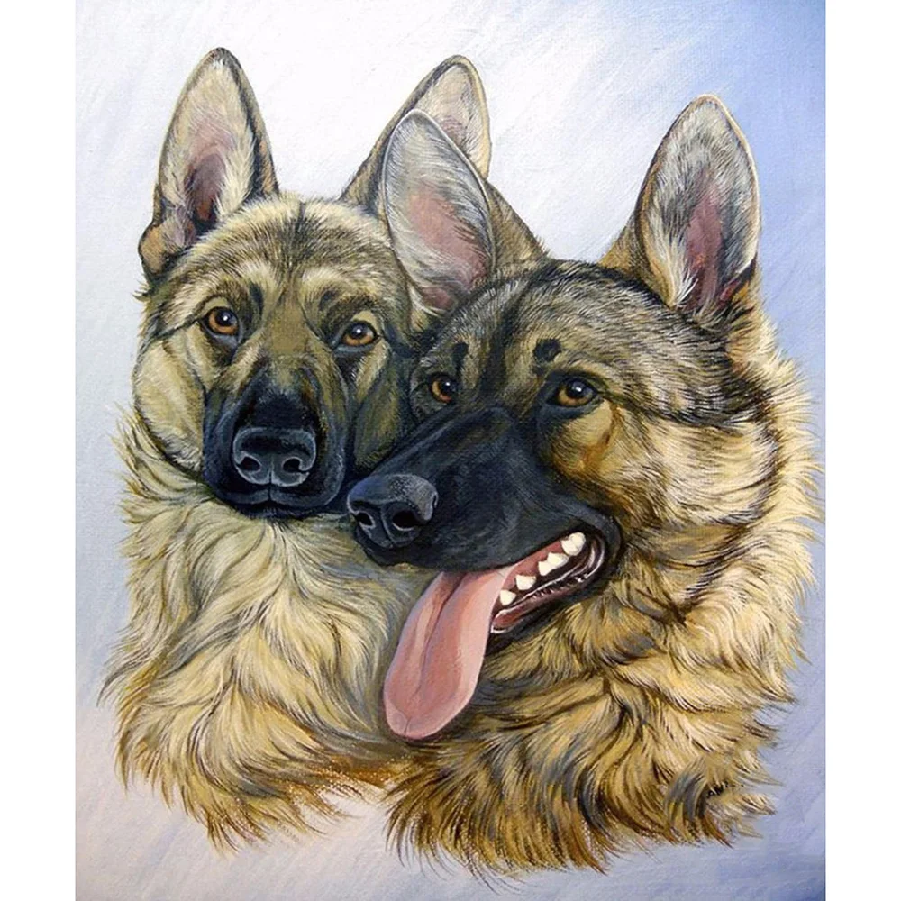 LIE0589850X60