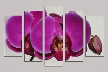 

Hot sales 5pcs Oil painting about "Phalaenopsis" flower print on canvas wall pictures for bedroom living room home decor RM5-050