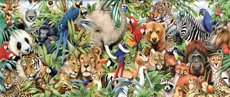 HTB1nnJ5NpXXXXbuXVXXq6xXFXXXG