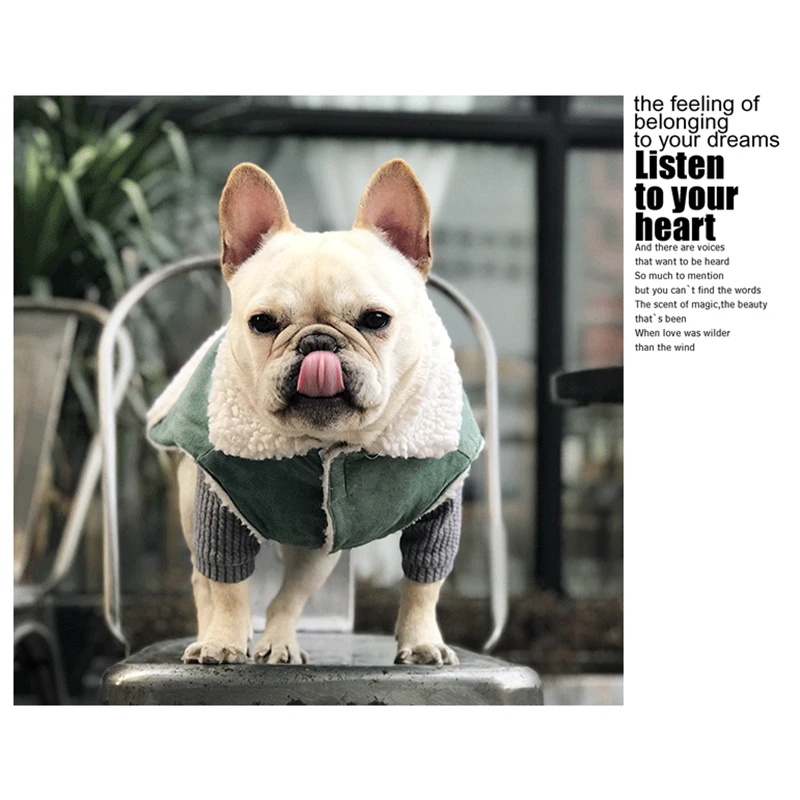 dog clothes coat winter (2)