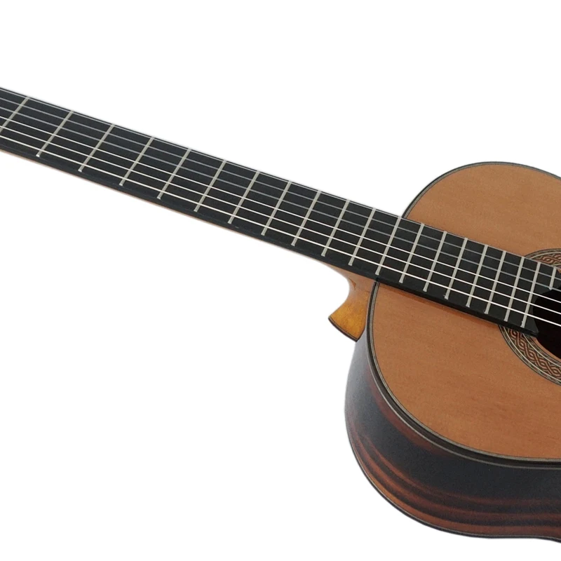 SC110S (2)