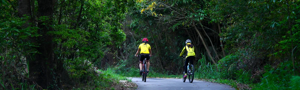Cheap Bicicleta
