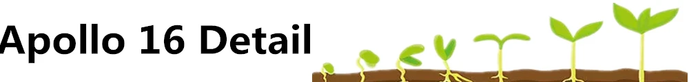 A16
