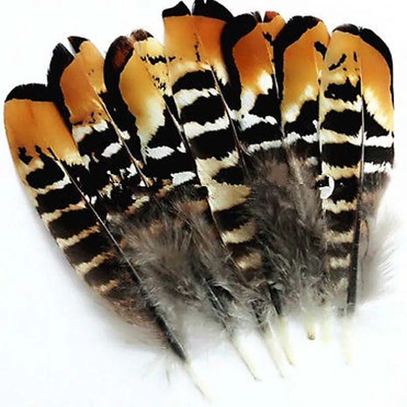 

perfect 10 PCS rare natural pheasant feather 8-12 CM